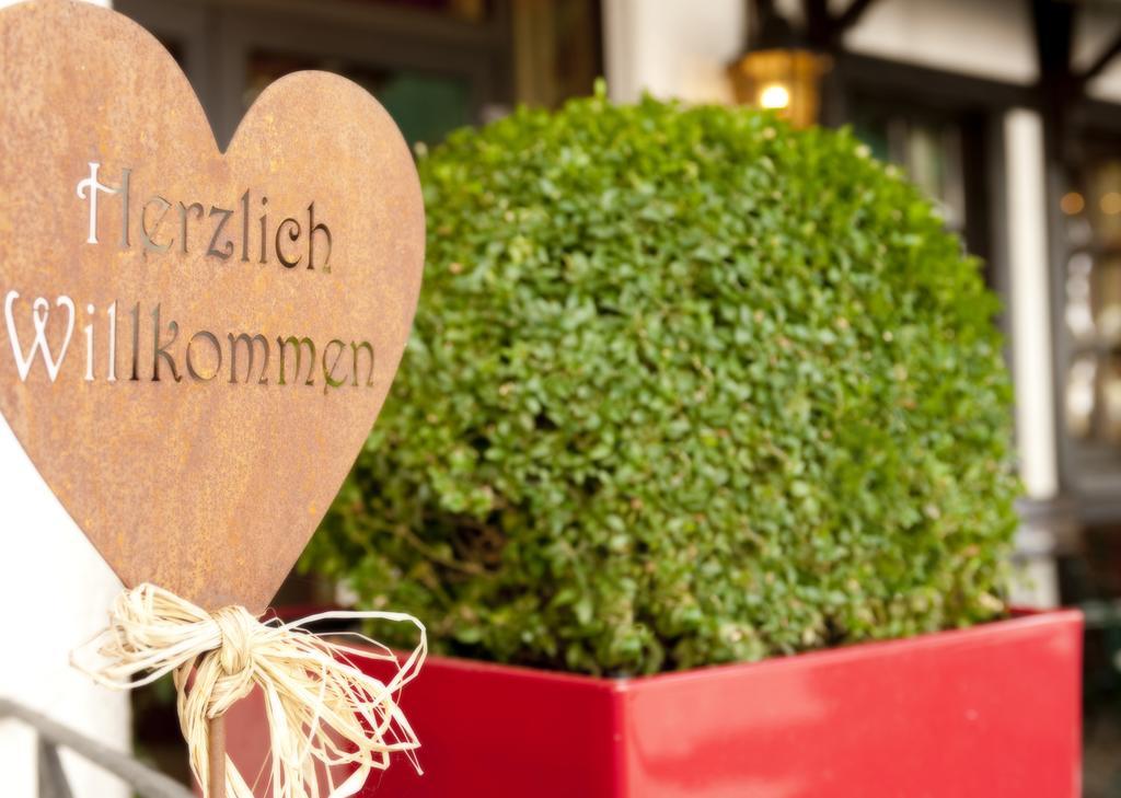 Ringhotel Boemers Mosel Landhotel Альф Екстер'єр фото